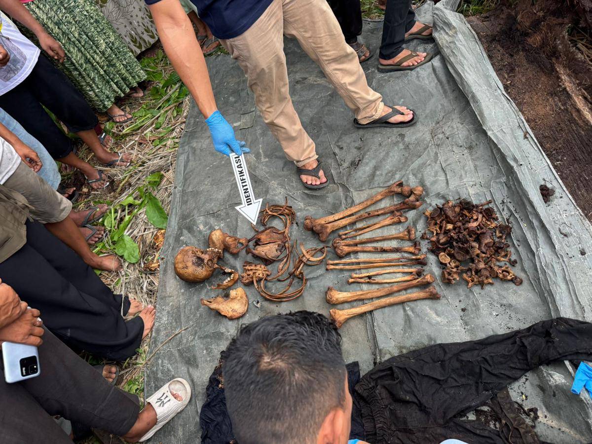 Warga temukan tulang belulang di dalam pohon aren yang ditebang (dok.istimewa)