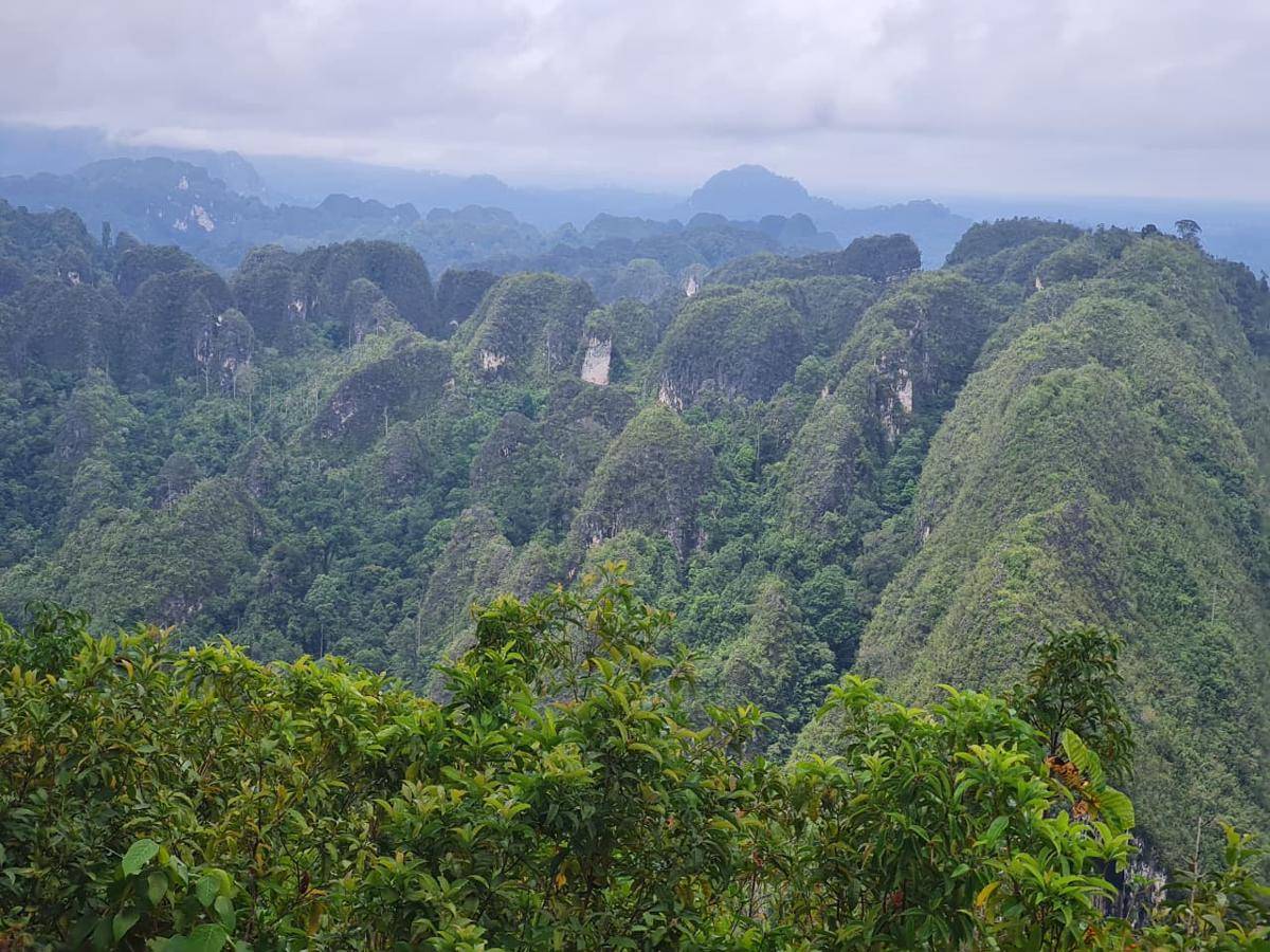 Kerucut Karst Merabu.jpg