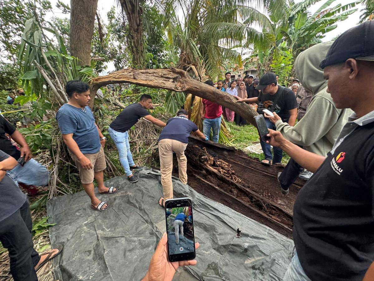 Warga temukan tulang belulang di dalam pohon aren yang ditebang (dok.istimewa)