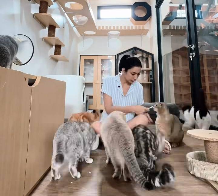 potret Tyas Mirasih pelihara 23 ekor kucing di rumah