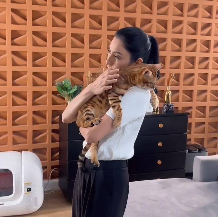 potret Tyas Mirasih pelihara 23 ekor kucing di rumah