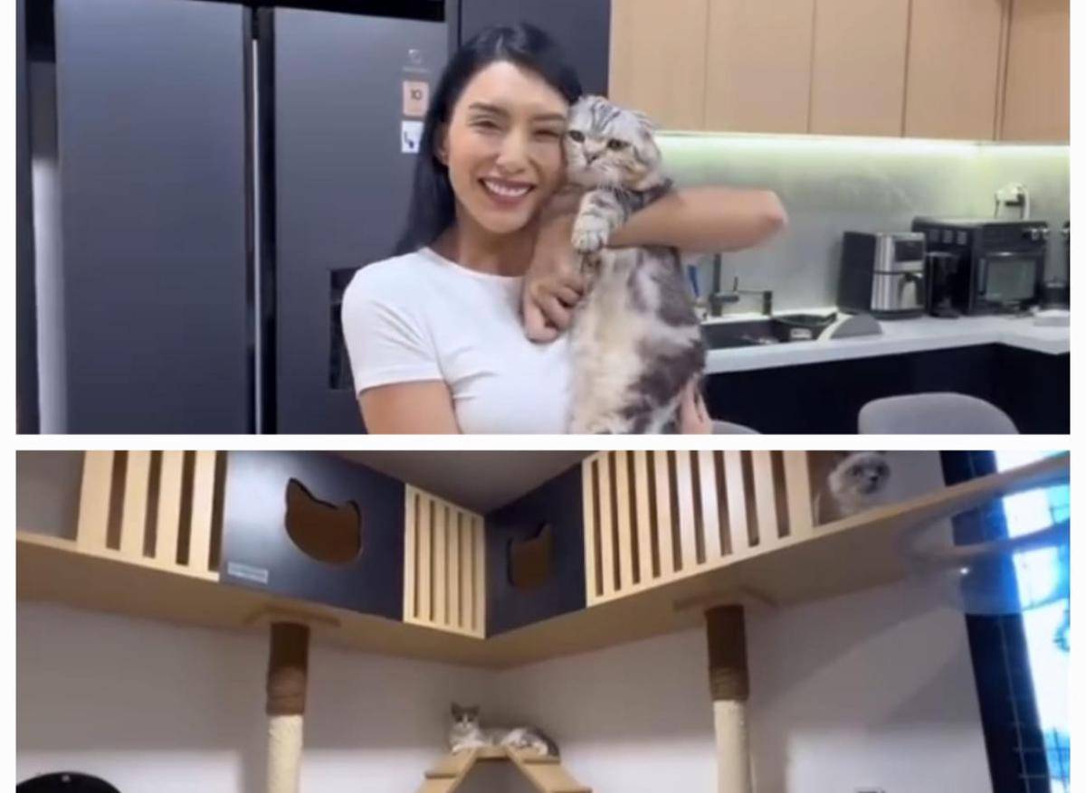 potret Tyas Mirasih pelihara 23 ekor kucing di rumah