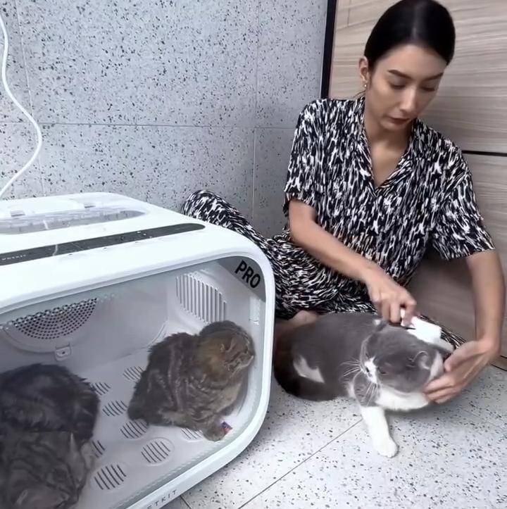 potret Tyas Mirasih pelihara 23 ekor kucing di rumah