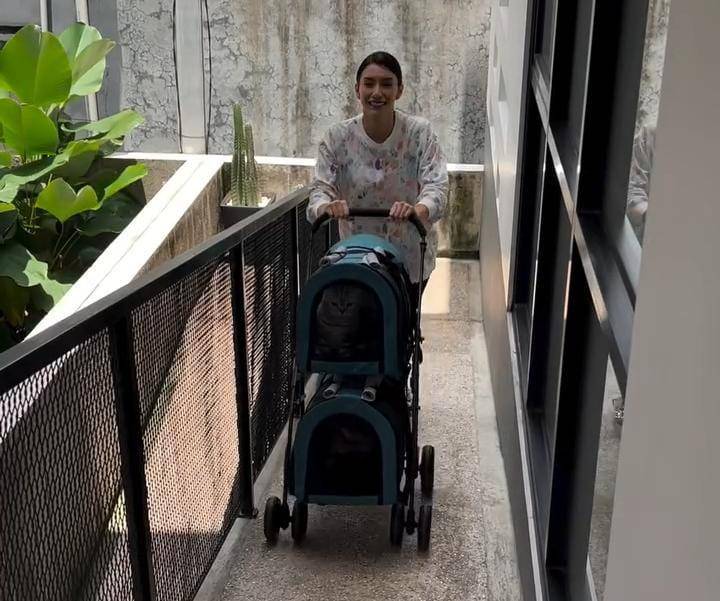 potret Tyas Mirasih pelihara 23 ekor kucing di rumah