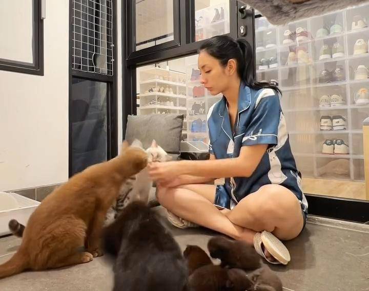 potret Tyas Mirasih pelihara 23 ekor kucing di rumah