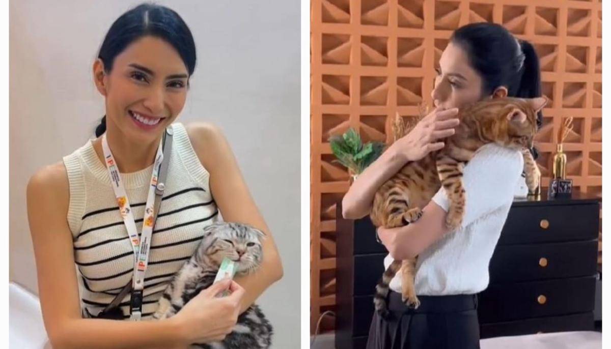 potret Tyas Mirasih pelihara 23 ekor kucing di rumah