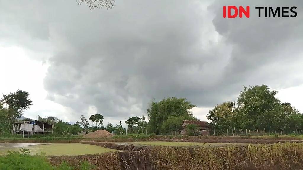 Tim hijau DKI jakarta