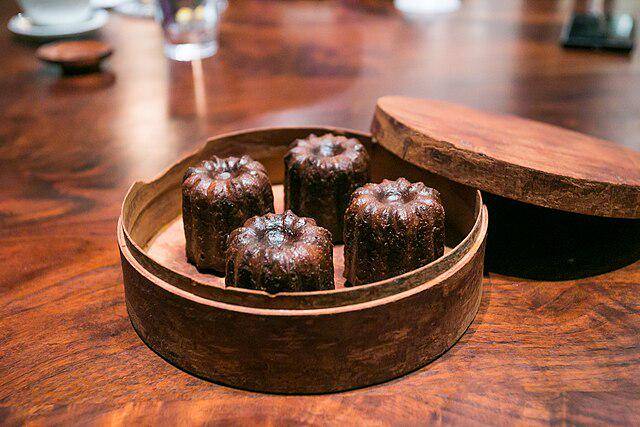 ilustrasi potret canele