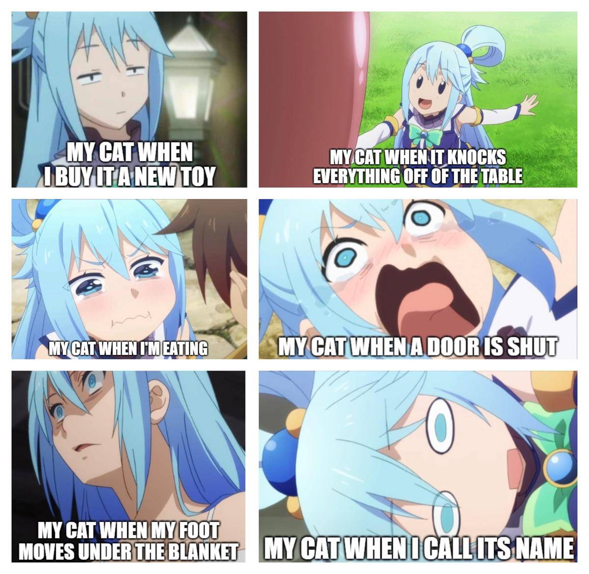 meme anime tentang kucing