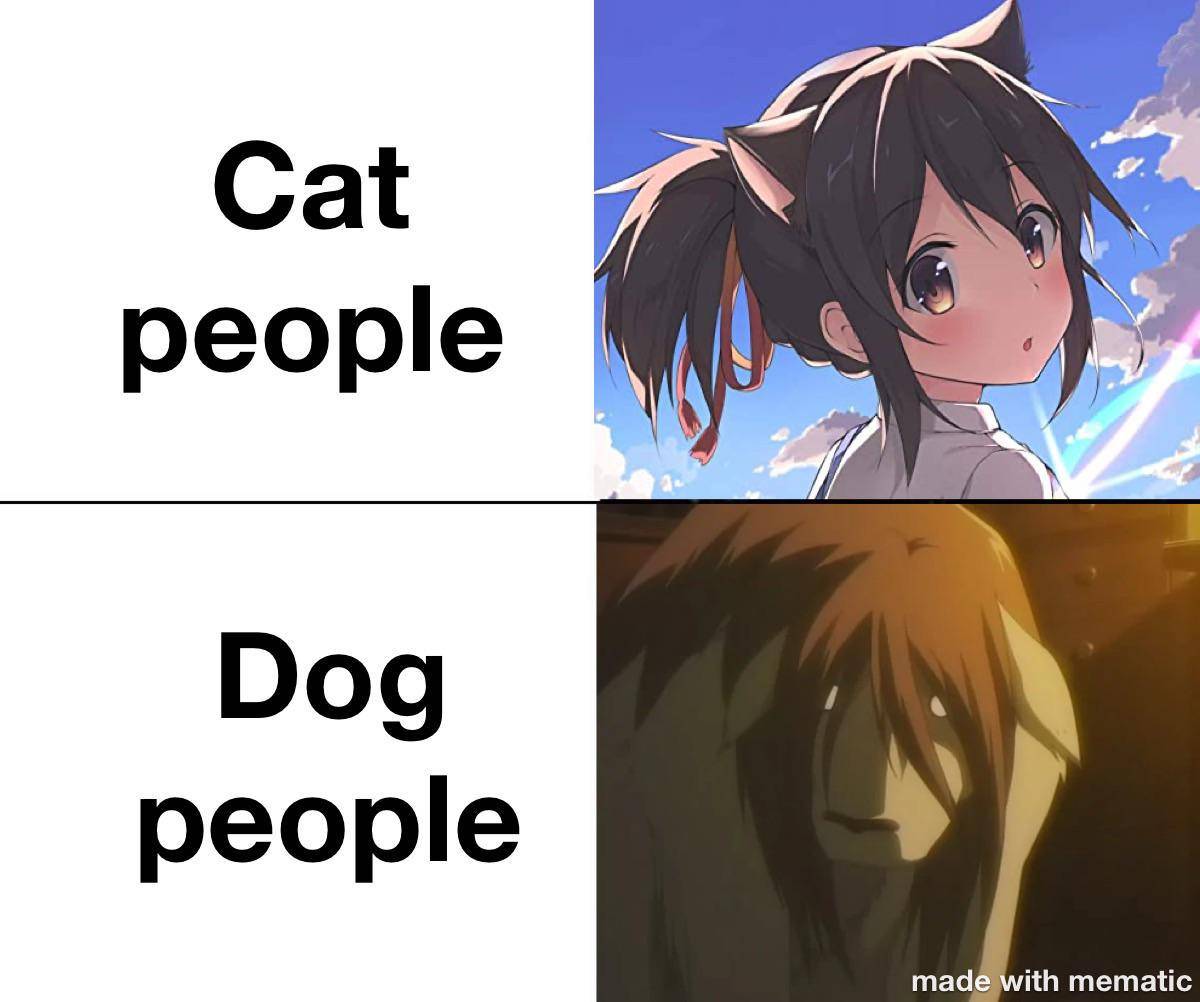 meme anime tentang kucing