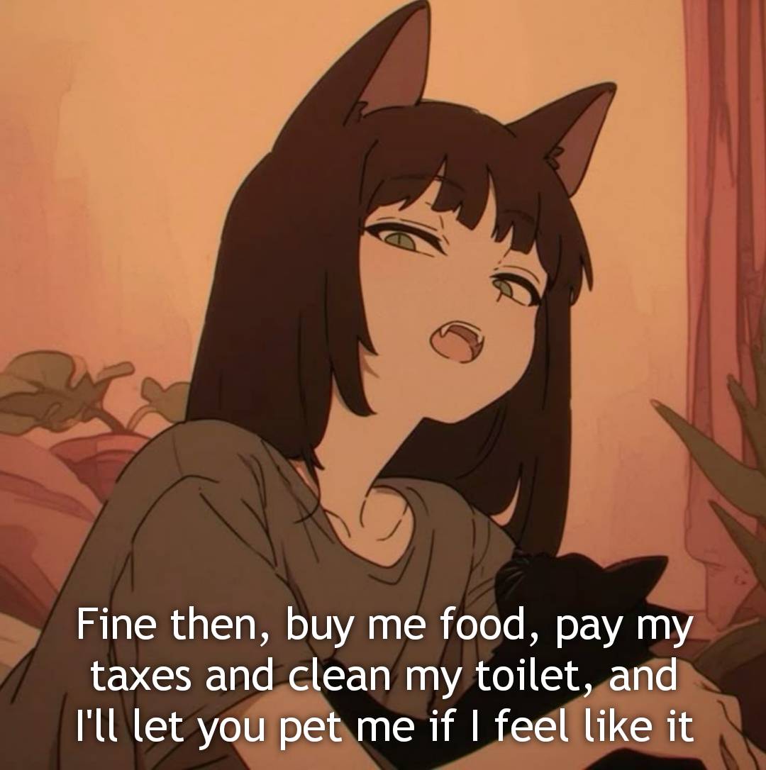 meme anime tentang kucing
