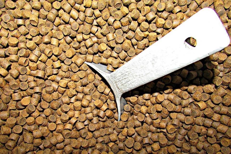 pelet ikan (commons.wikimedia.org/USFWS Mountain-Prairie)