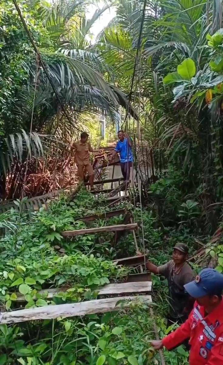 Kondisi jembatan yang hendak diperbaiki di Tanggamus. (IDN Times/istimewa)