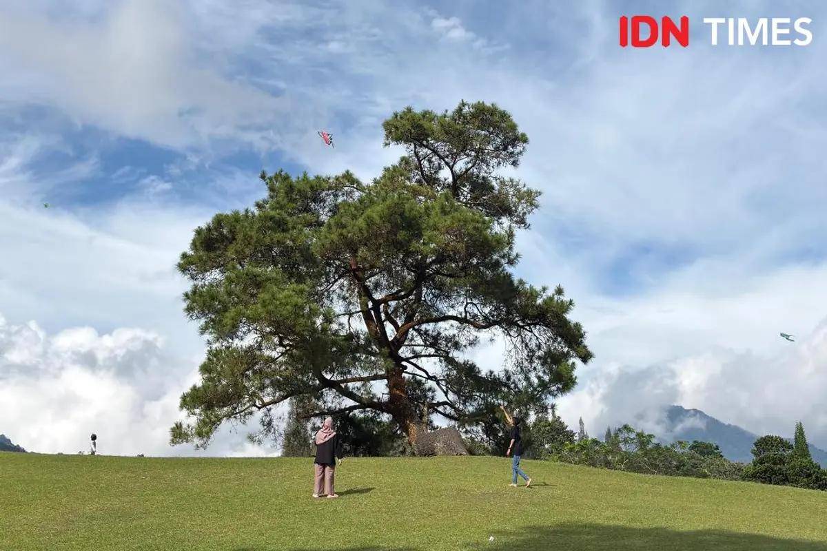 Bukit Kubu Berastagi (mangara wahyudi)