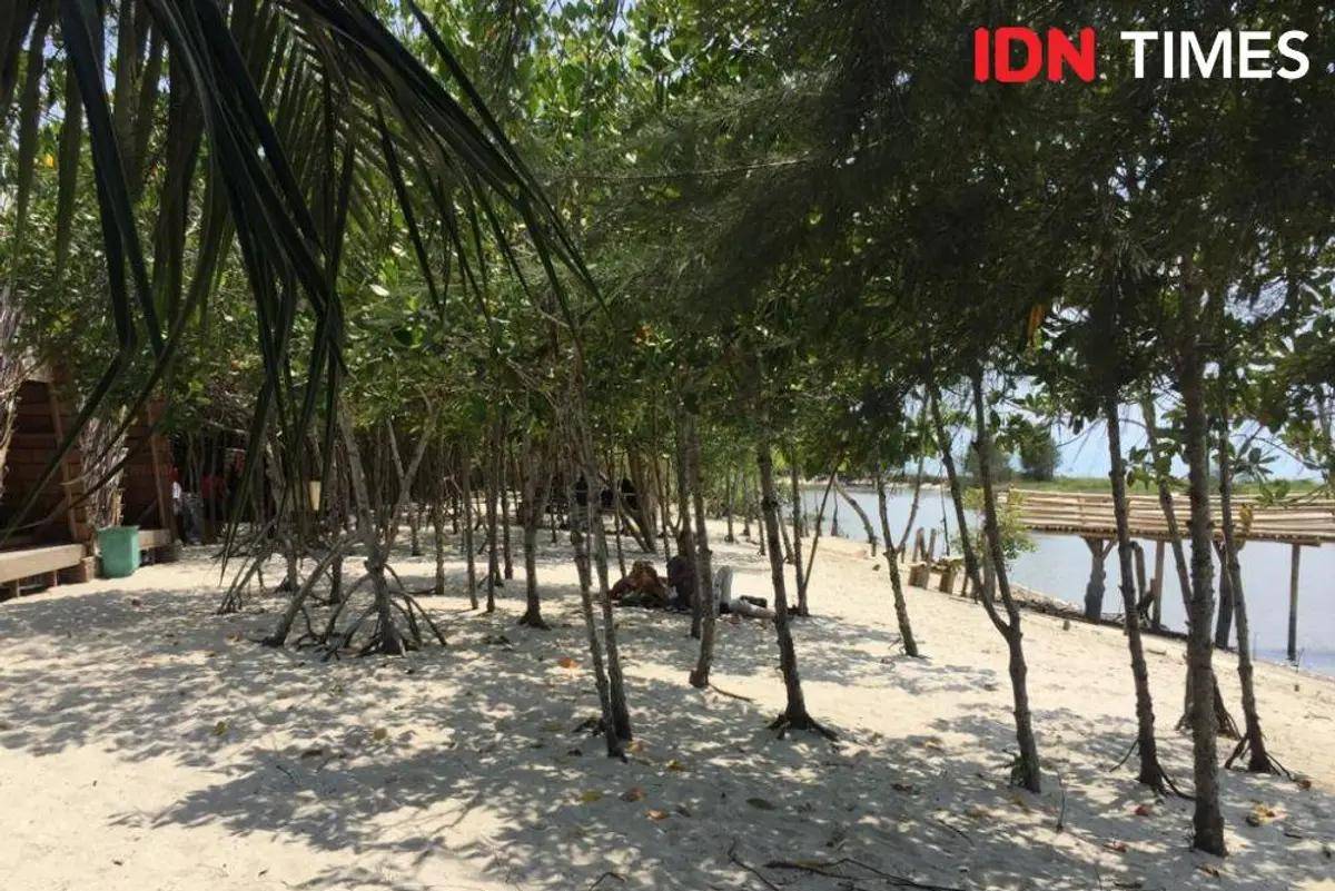 Pantai Mangrove Kampoeng Nipah di Desa Sei Nagalawan, Kampung Nipah, Dusun 3, Kecamatan Perbaungan, Kabupaten Serdang Bedagai (Sergai). (IDN Times/Indah Permata Sari)