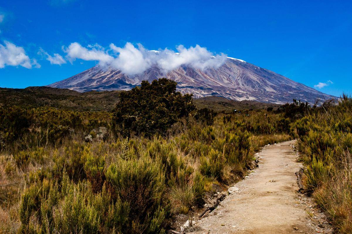 Gunung Kilimanjaro (unsplash.com/Crispin Jones)