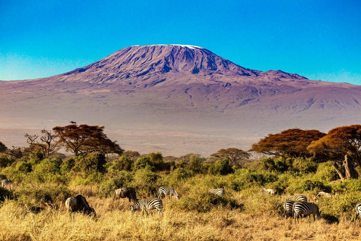 Gunung Kilimanjaro (unsplash.com/Stephan Bechert)