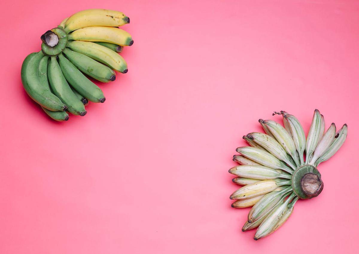 ilustrasi dua jenis pisang (pexels.com/Any Lane)