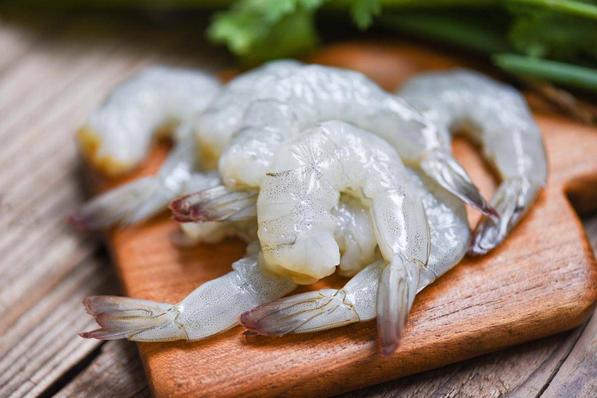 ilustrasi udang