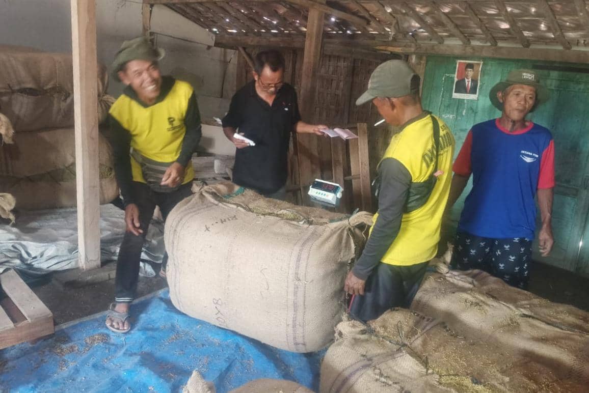 Petani tembakau di Ngawi tengah menjual hasil kebunnya. IDN Times/Riyanto.