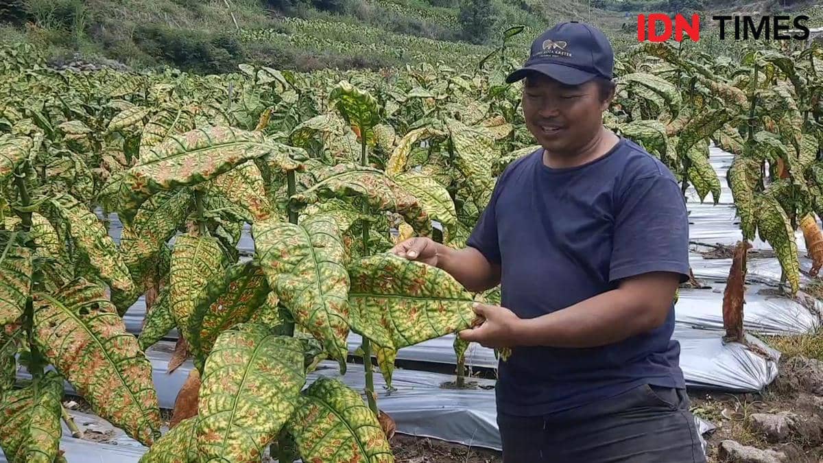Ketua Asosiasi Petani Tembakau Indonesia (APTI) Magetan, Siswanto. IDN Times/Riyanto.