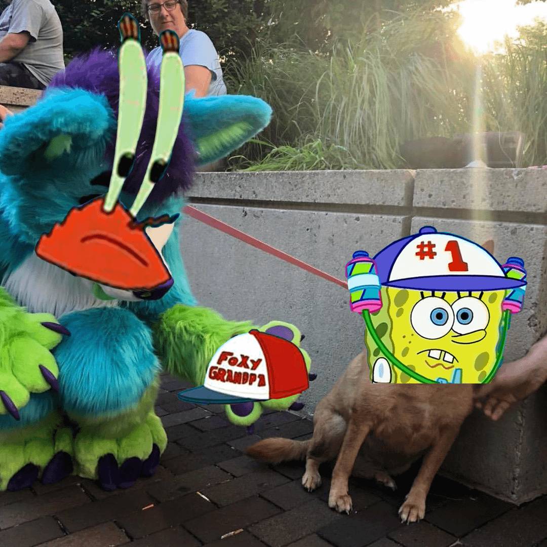 meme SpongeBob tentang topi 