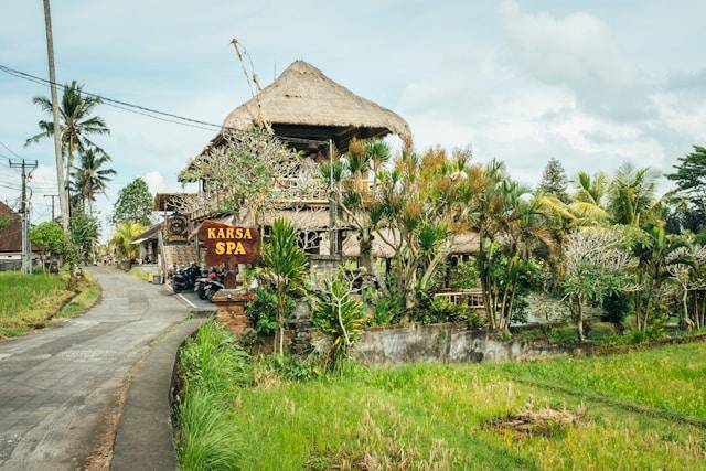 Desa Ubud, Bali (unsplash.com/Bernard Hermant)
