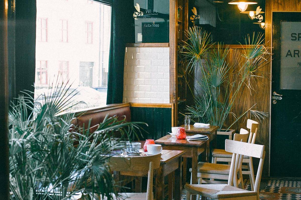 ilustrasi cafe (pexels.com/Maria Orlova)
