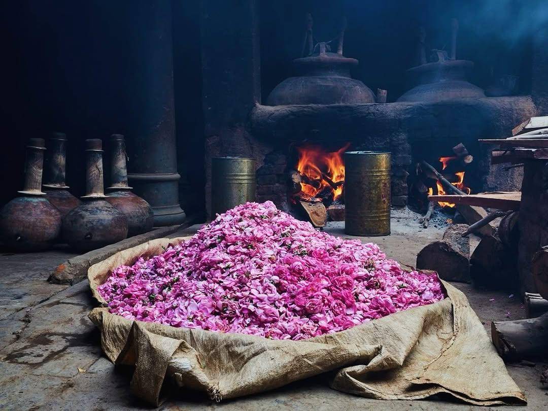 Kannauj