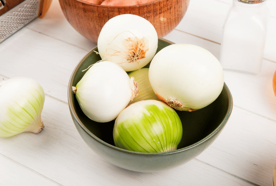 ilustrasi bawang bombay