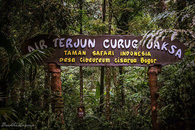 Taman Safari (commons.wikimedia.org/Cep Budhi Darma)