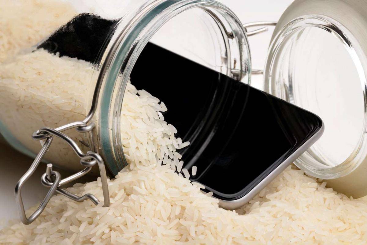 iphone-rice-warning-022224-tout-b9ce957669524e39adc4c0bc683e7d6f.jpg
