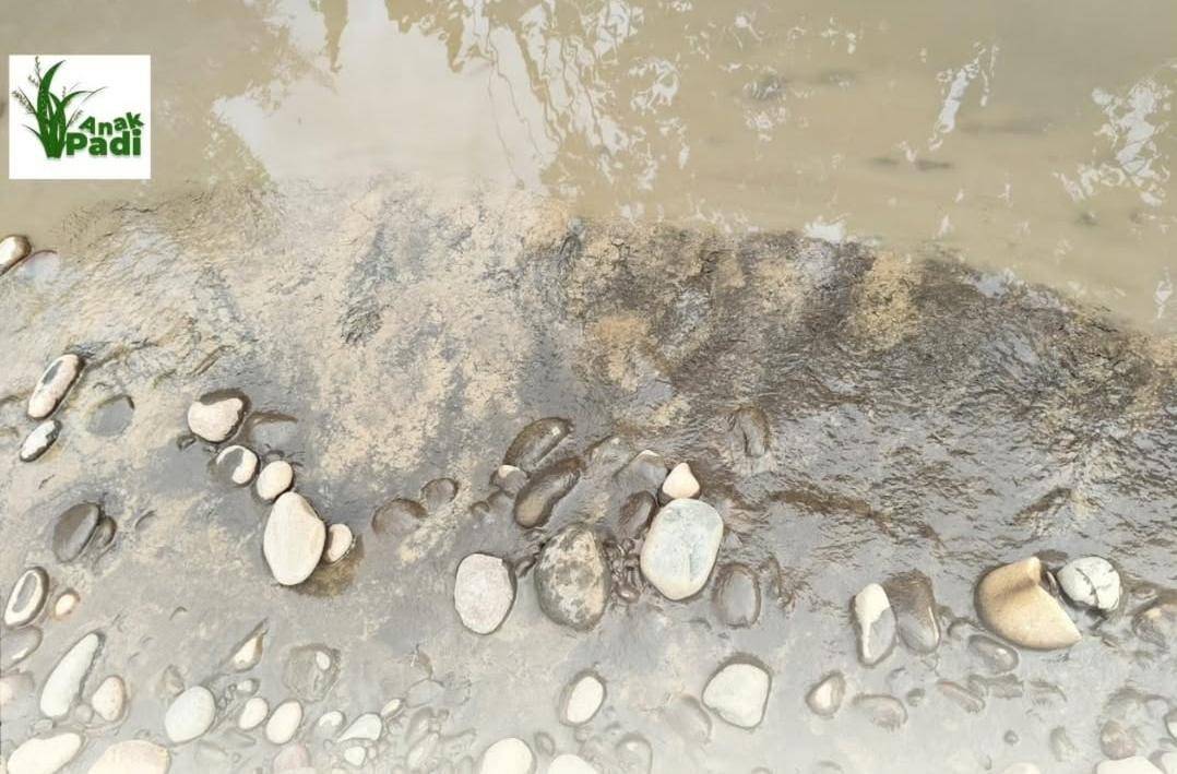 Kondisi anak Sungai Lematang di Lahat yang terdampak oleh aktivitas tambang (Dok: Yayasan Anak Padi Lahat)