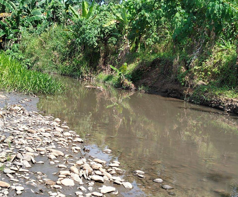 Kondisi anak Sungai Lematang di Lahat yang terdampak oleh aktivitas tambang (Dok: Yayasan Anak Padi Lahat)