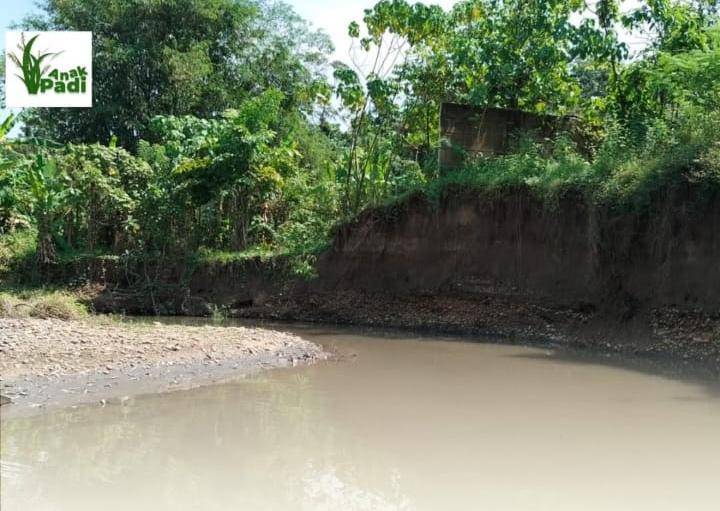 Kondisi anak Sungai Lematang di Lahat yang terdampak oleh aktivitas tambang (Dok: Yayasan Anak Padi Lahat)