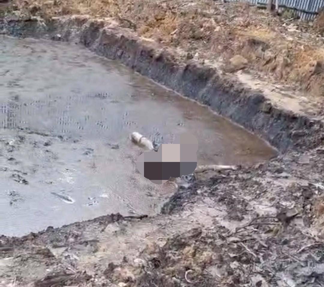 Prabowo Muldan, warga Desa Sukajadi, Kecamatan Talang Kelapa, Kabupaten Banyuasin yang ditemukan tak bernyawa di sebuah kolam yang berada di sekitar lokasi kebakaran. (Dok. Polsek Bayung Lencir)