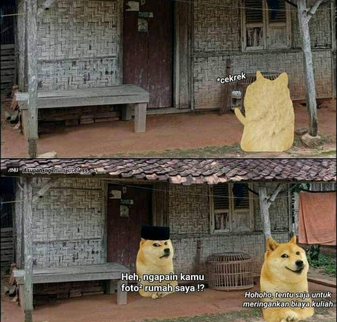 meme bayar UKT