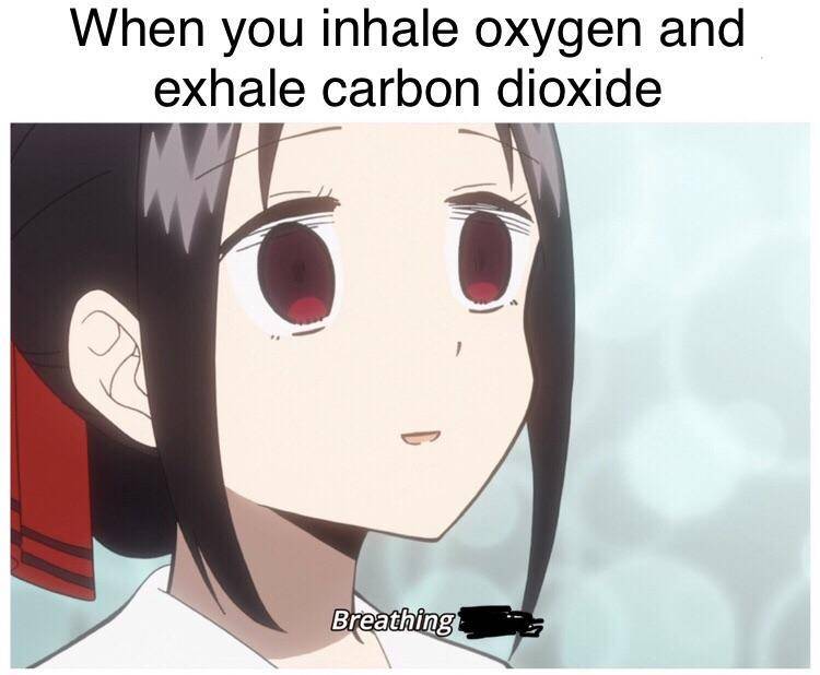 meme anime tentang bernapas