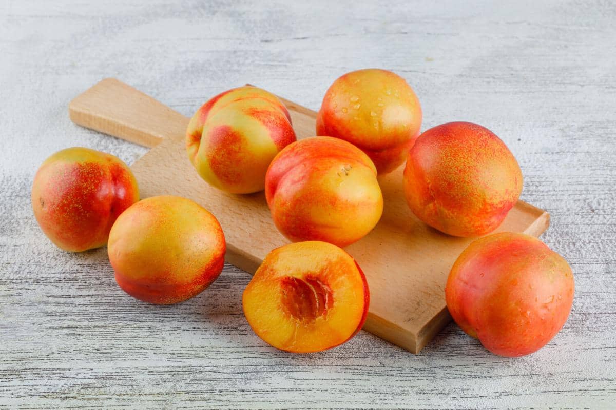 ilustrasi buah nectarines
