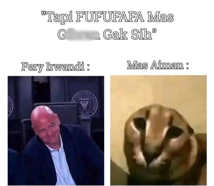 meme Ferry Irwandi