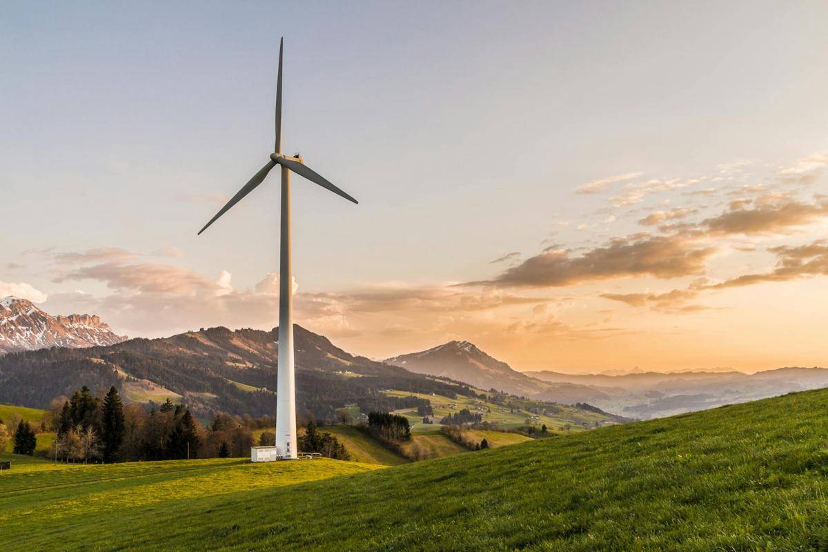 ilustrasi energi hijau (pexels.com/Pixabay)