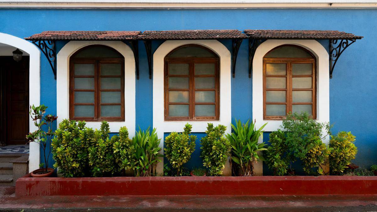 soham-banerjee-M1-g8VpQ37w-unsplash.jpg