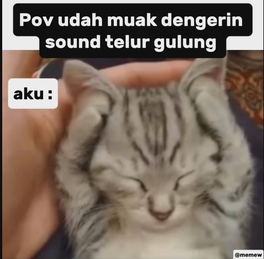 meme muak