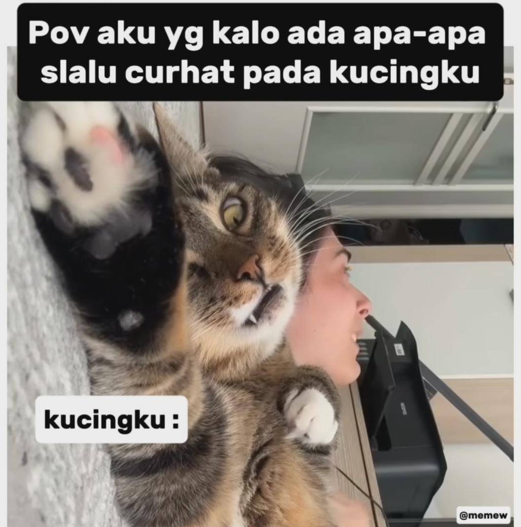 meme muak