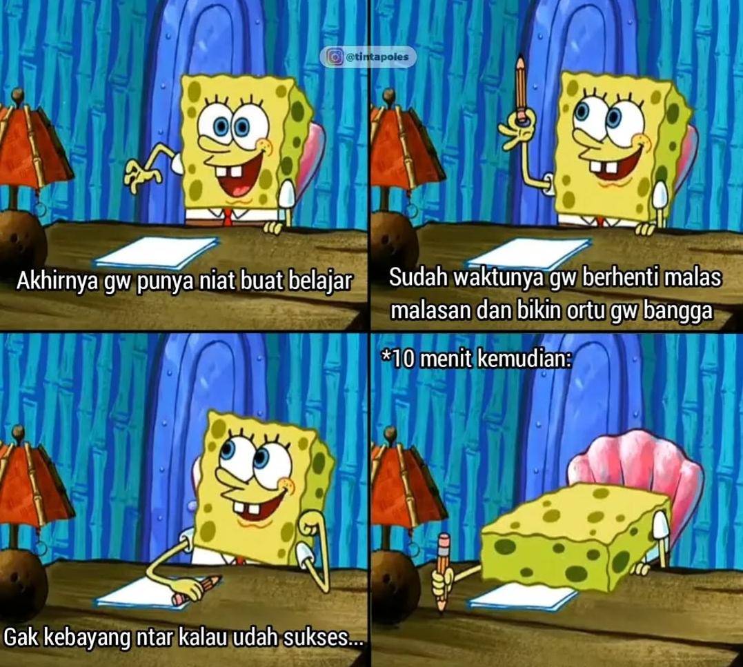 meme kebiasaan halu