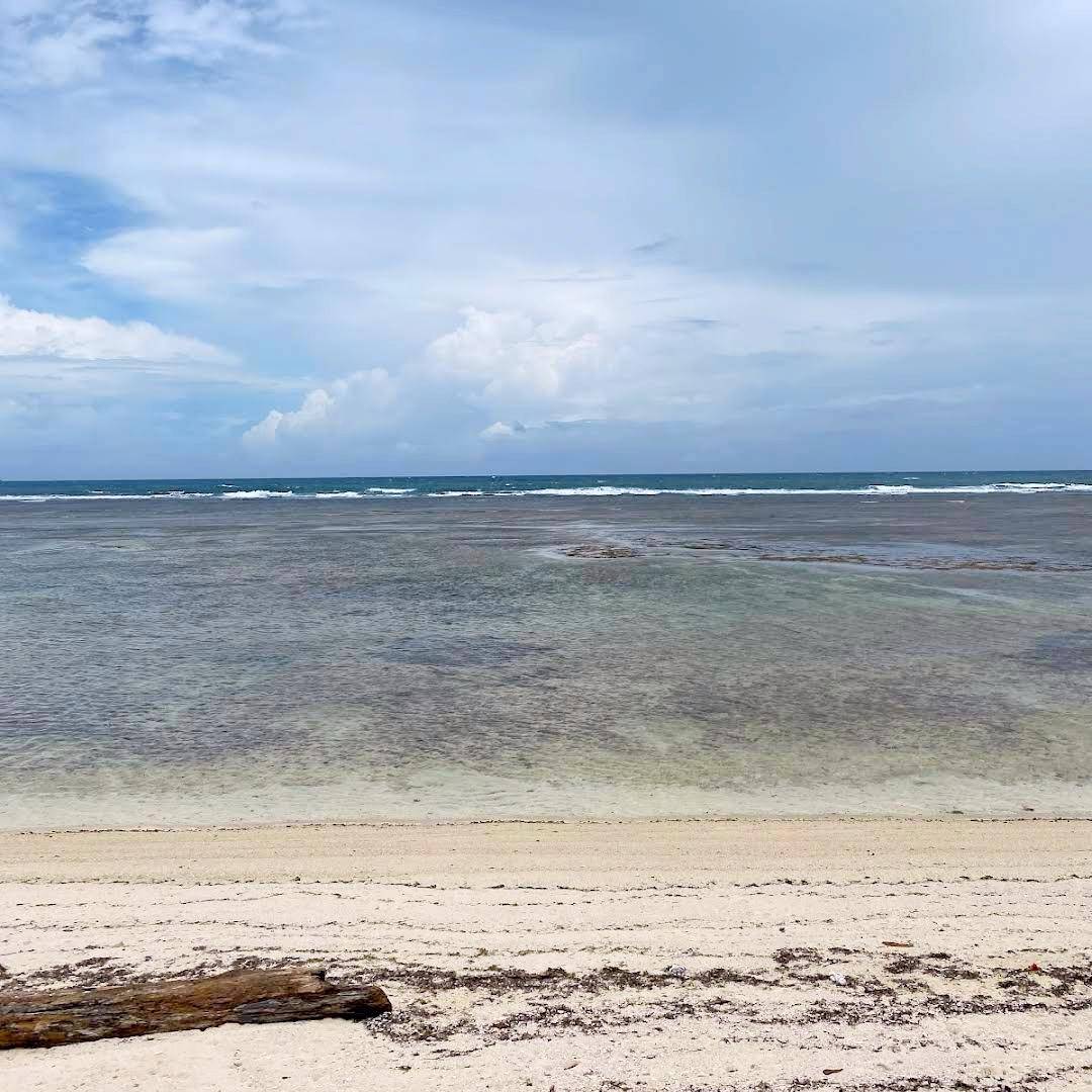 Pantai Tanjung Setia Krui, Kab. Pesisir Barat, Lampung (Dok.Google Maps/Arief Wardana H)