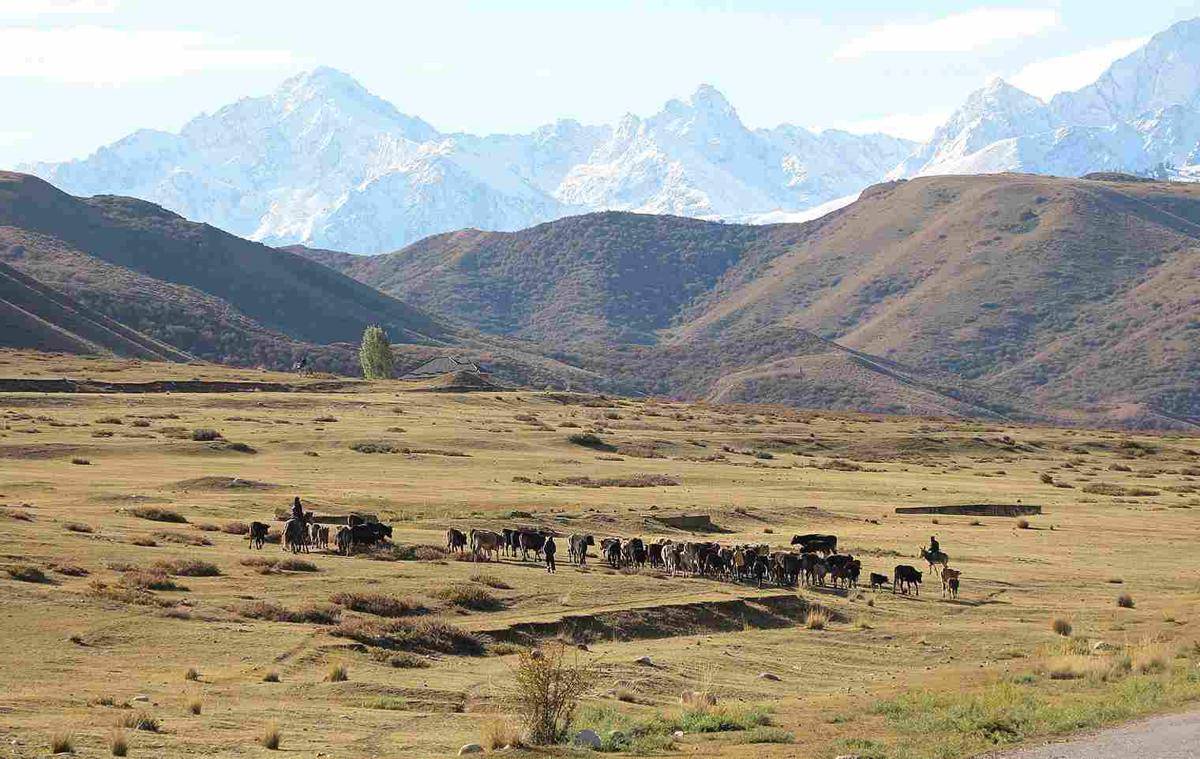 Pegunungan Tian Shan
