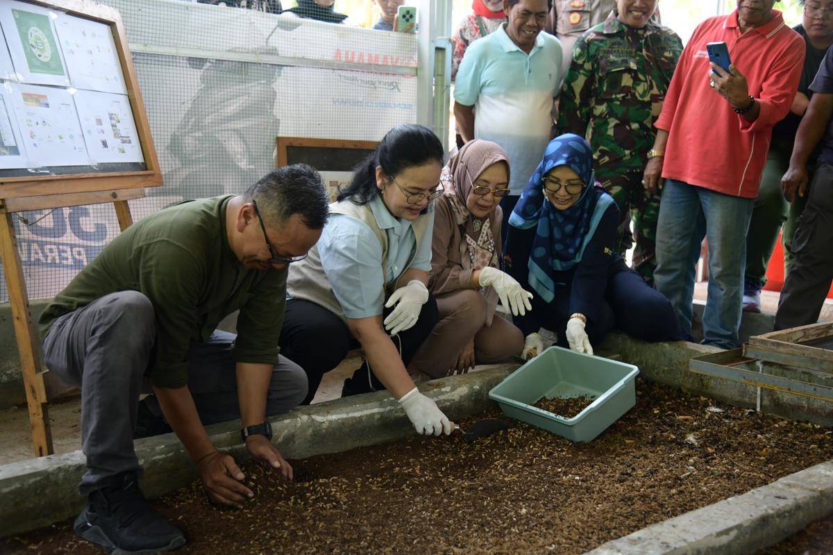 maggot, sampah organik