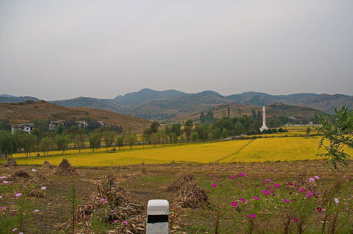 potret sawah di Hamhung 