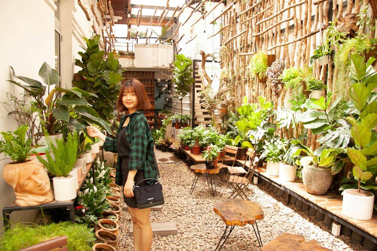 ilustrasi vertical garden (pexels.com/Du Tử Mộng)